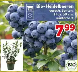 CENTERSHOP Bio-Heidelbeeren Angebot
