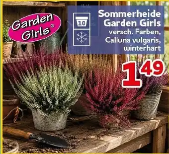 CENTERSHOP Sommerheide Garden Girls Angebot