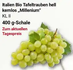 Globus Italien Bio Tafeltrauben hell kernlos „Millenium“ Angebot