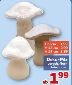 CENTERSHOP Deko-Pilz Angebot