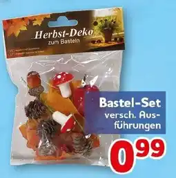 CENTERSHOP Herbst-Deko zum Basteln Angebot