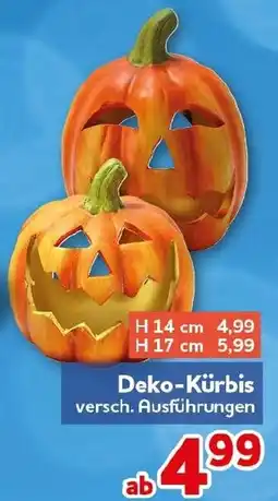 CENTERSHOP Deko-Kürbis Angebot