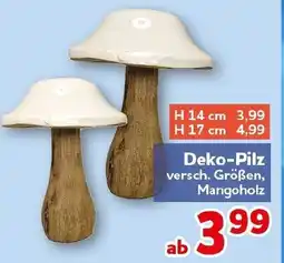 CENTERSHOP Deko-Pilz Angebot