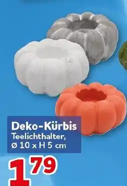 CENTERSHOP Deko-Kürbis Teelichthalter Angebot