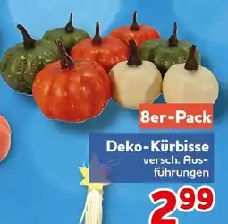 CENTERSHOP Deko-Kürbisse Angebot
