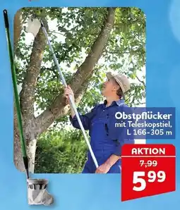 CENTERSHOP Obstpflücker mit Teleskopstiel Angebot
