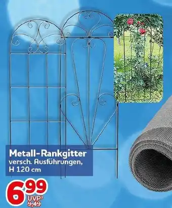 CENTERSHOP Metall-Rankgitter Angebot