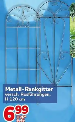 CENTERSHOP Metall-Rankgitter Angebot
