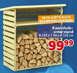 CENTERSHOP Kaminholz-untersand Angebot