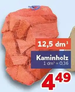 CENTERSHOP Kaminholz Angebot