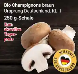 Globus Bio Champignons braun Angebot