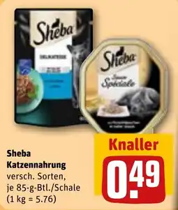 REWE Sheba Katzennahrung Angebot