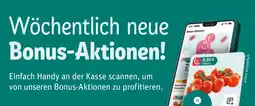 REWE Tomaten Angebot