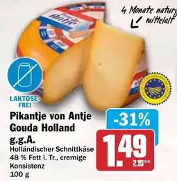HIT Pikantje von Antje Gouda Holland Angebot