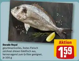 REWE Dorade Royal Angebot