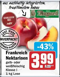 HIT Bagard Frankreich Nektarinen Angebot