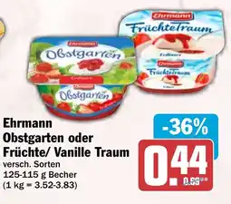 HIT Ehrmann Obstgarten oder Früchte/Vanille Traum Angebot
