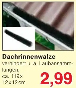 Wiglo Wunderland Dachrinnenwalze Angebot