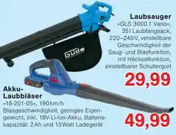 Wiglo Wunderland Akku-Laubbläser Angebot