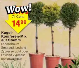 Wiglo Wunderland Kugel-Koniferen-Mix auf Stamm Angebot