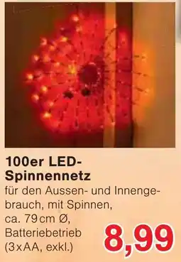 Wiglo Wunderland 100er LED-Spinnennetz Angebot