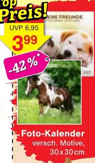 Wiglo Wunderland Foto-Kalender Angebot