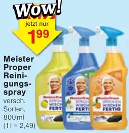 Wiglo Wunderland Meister Proper Reinigungs-spray Angebot