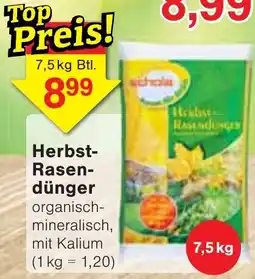 Wiglo Wunderland schola Herbst-Rasendünger Angebot