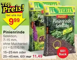 Wiglo Wunderland PROFIGREEN Pinienrinde Selektion Angebot