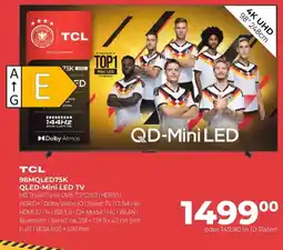Hirsch und Ille TCL QLED-Mini LED TV Angebot