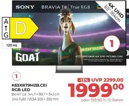 Hirsch und Ille SONY BRAVIA 71II True RGB Angebot