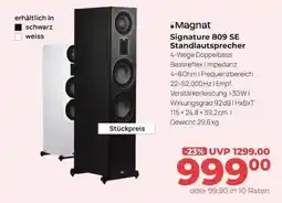 Hirsch und Ille Magnat Signature 809 SE Standlautsprecher Angebot