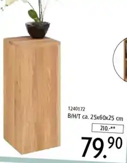 Zurbrüggen LINEA NATURA Blumensäule/ Beistelltisch ,,ELLA" Angebot