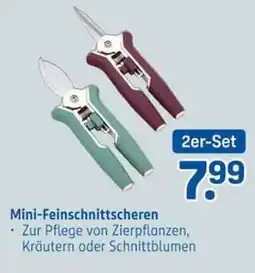 Rossmann Mini-Feinschnittscheren Angebot