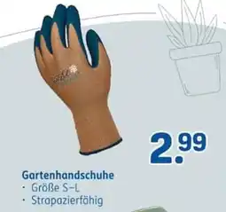 Rossmann Gartenhandschuhe Angebot