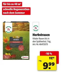 Hagebau Herbstrasen Angebot