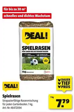 Hagebau DEAL! Spielrasen Angebot