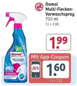 Rossmann Domol Multi-Flecken-Vorwaschspray Angebot