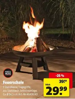 Hagebau BARBECUE HERO Feuerschale Angebot