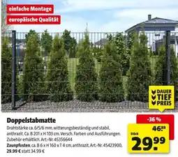 Hagebau Doppelstabmatte Angebot