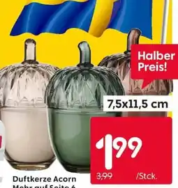 Rusta Duftkerze Acorn Angebot