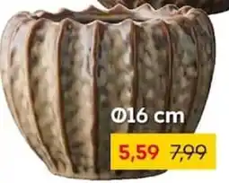 Rusta Blumentopf Angebot