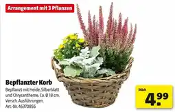 Hagebau Bepflanzter Korb Angebot