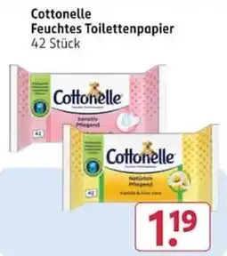Rossmann Cottonelle Feuchtes Toilettenpapier Angebot