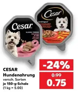 Kaufland CESAR Hundenahrung Angebot