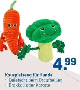Rossmann Kauspielzeug für Hunde Angebot