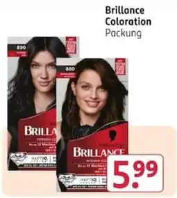 Rossmann Brilliance Coloration Packung Angebot