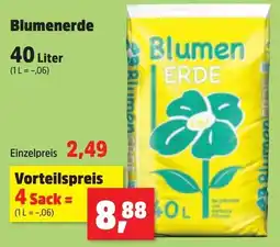 Thomas Philipps Blumenerde Angebot