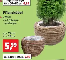 Thomas Philipps Pflanzkübel Angebot