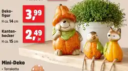 Thomas Philipps Mini-Deko Angebot